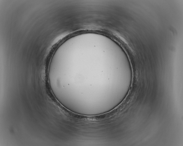 X0000115241315200911131656