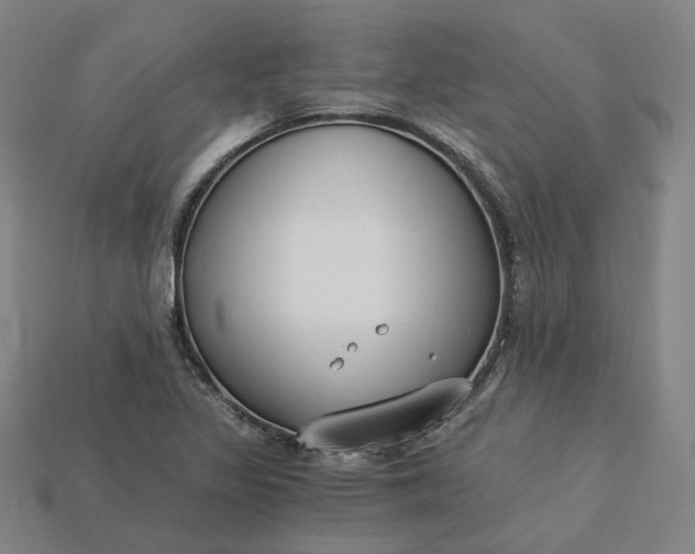 X0000115241317200911131656