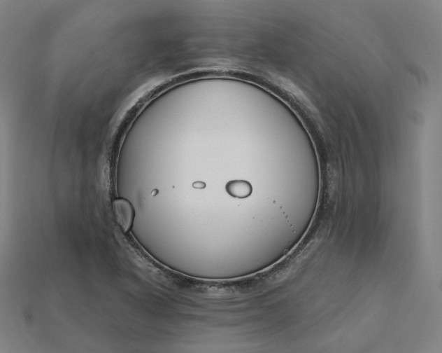 X0000115241318200911131656