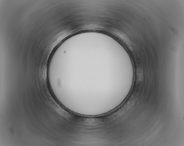 X0000115241322200911131656