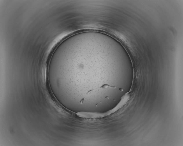 X0000115241323200911131656