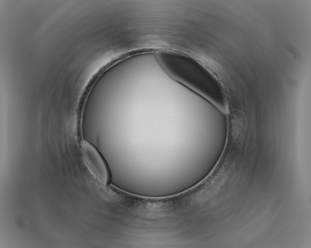 X0000115241326200911131656
