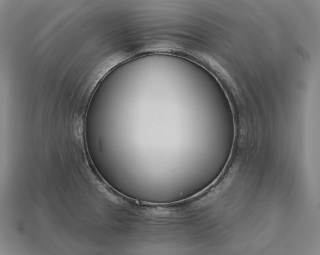 X0000115241329200911131656