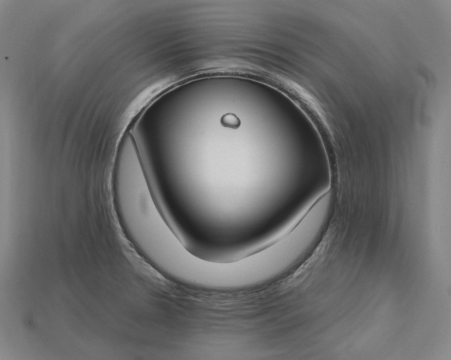 X0000115241330200911131656