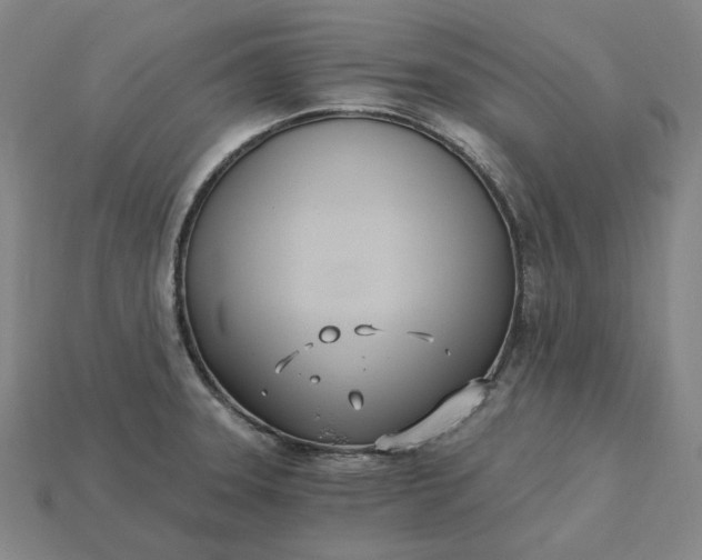 X0000115241331200911131656