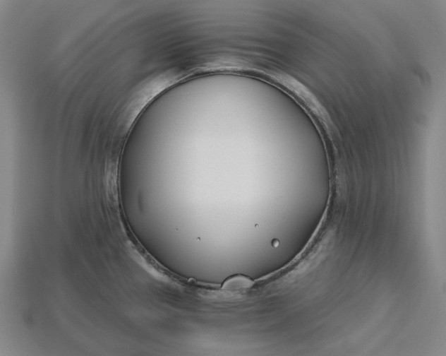 X0000115241337200911131656