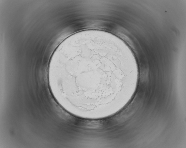 X0000115241338200911131656
