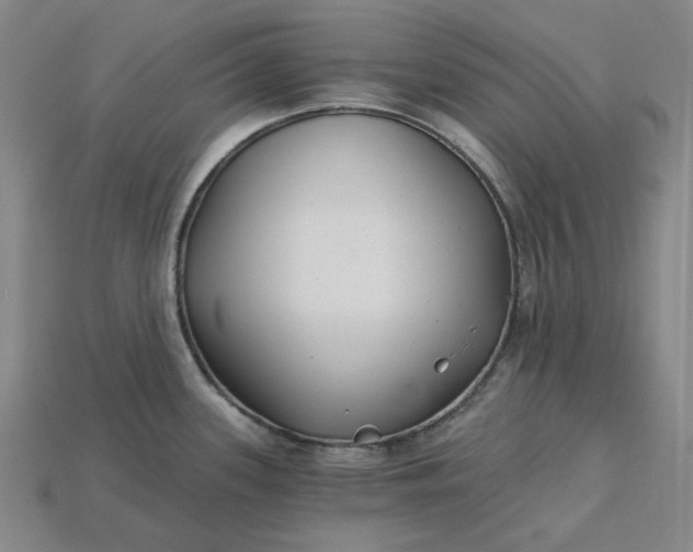 X0000115241339200911131656