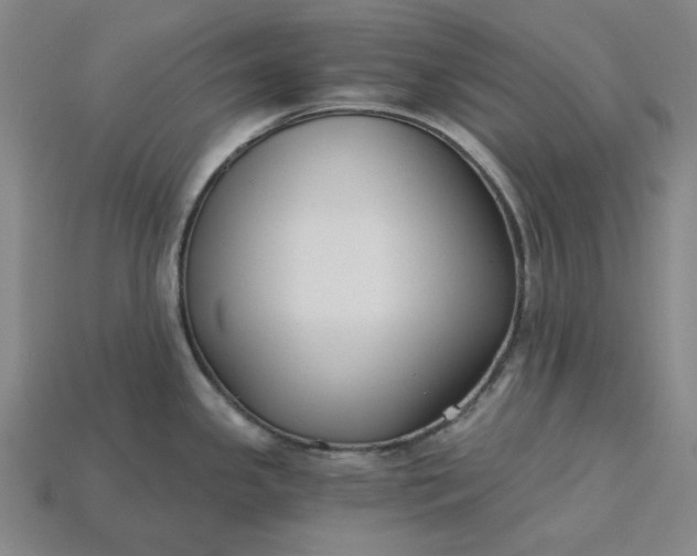X0000115241341200911131656