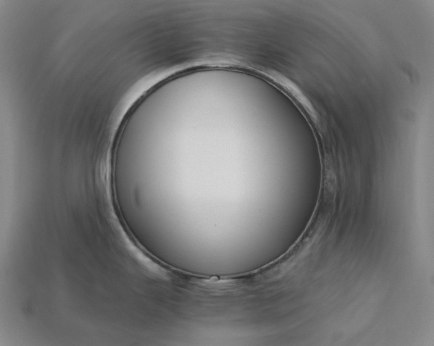 X0000115241343200911131656