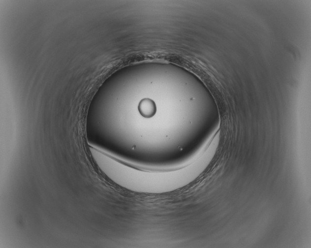 X0000115241345200911131656