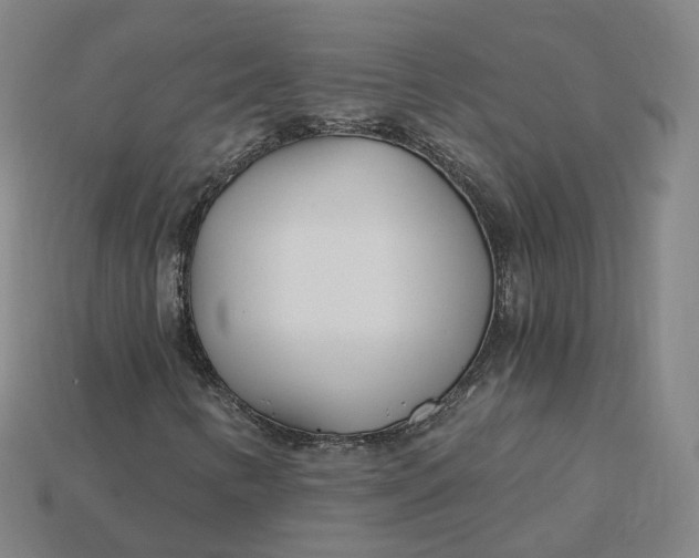 X0000115241346200911131656