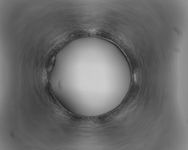 X0000115241347200911131656