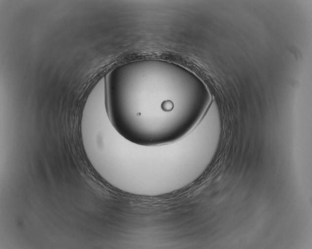 X0000115241348200911131656