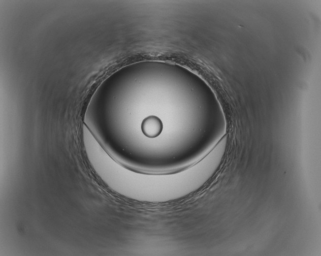 X0000115241349200911131656