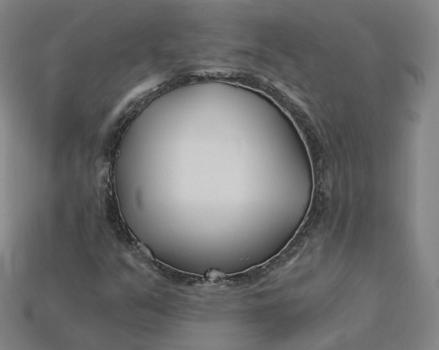 X0000115241351200911131656