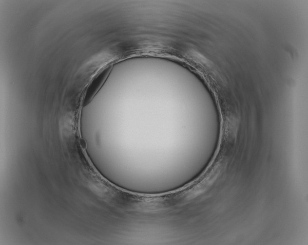 X0000115241353200911131655
