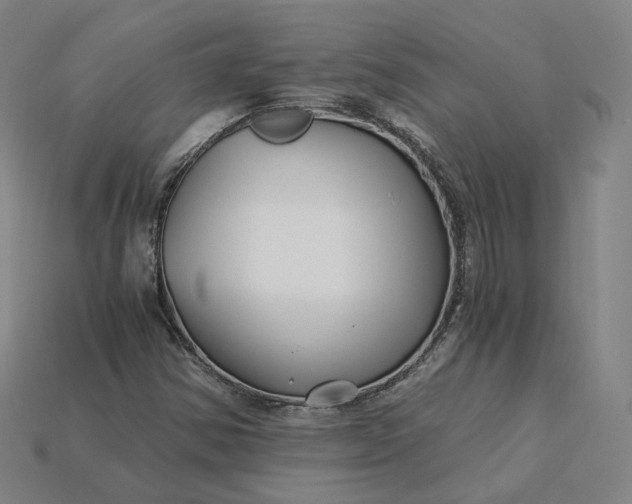 X0000115241354200911131655