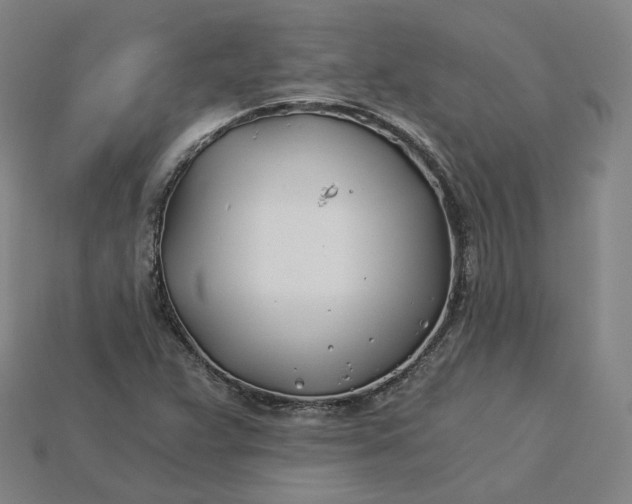 X0000115241359200911131655
