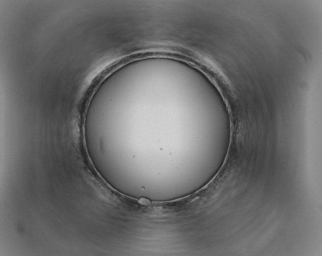X0000115241360200911131655