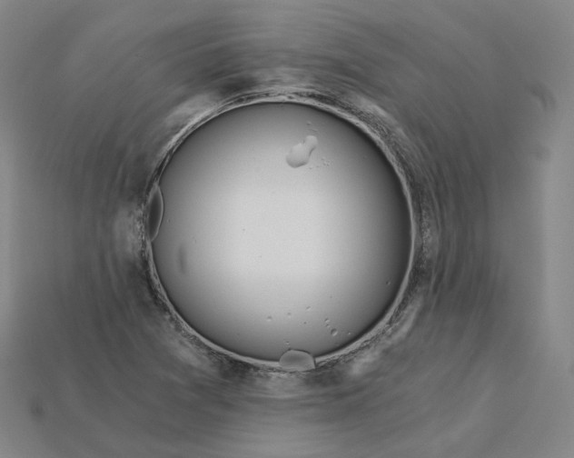 X0000115241361200911131655