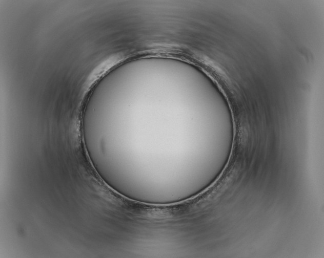 X0000115241362200911131655