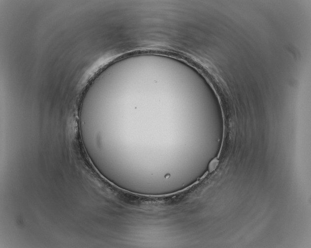 X0000115241363200911131655