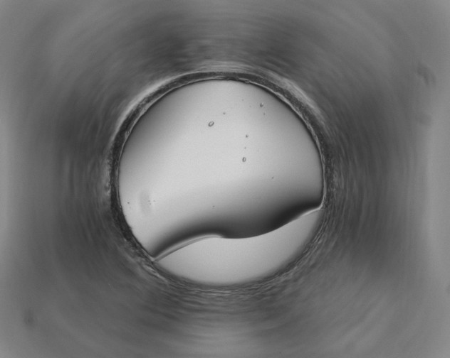 X0000115241364200911131655