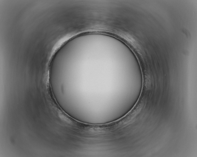 X0000115241366200911131655
