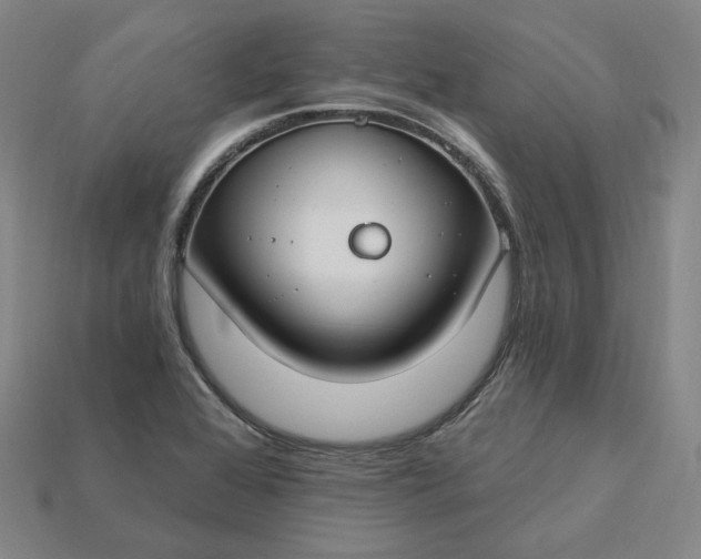 X0000115241368200911131655