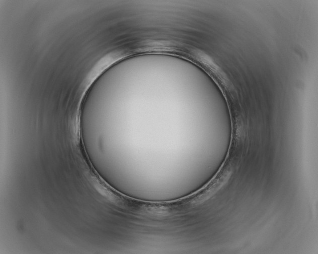 X0000115241370200911131655