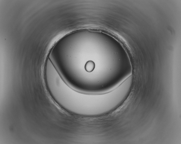 X0000115241373200911131655