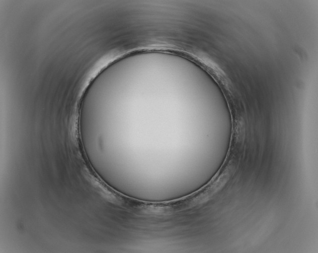 X0000115241374200911131655