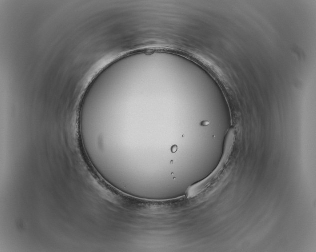 X0000115241375200911131655