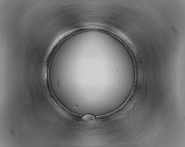 X0000115241376200911131655