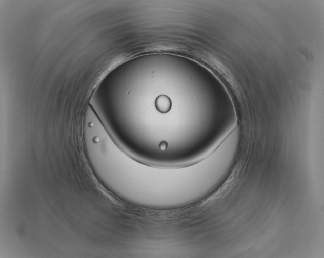 X0000115241377200911131655