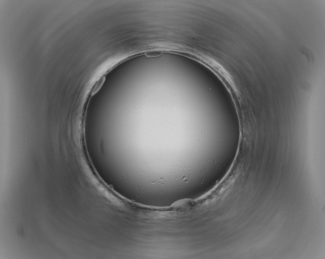 X0000115241381200911131655