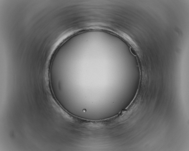 X0000115241384200911131655