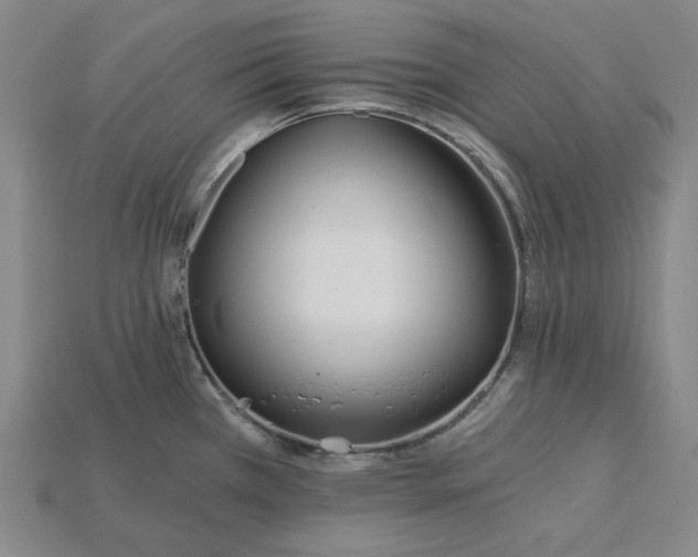 X0000115241385200911131655