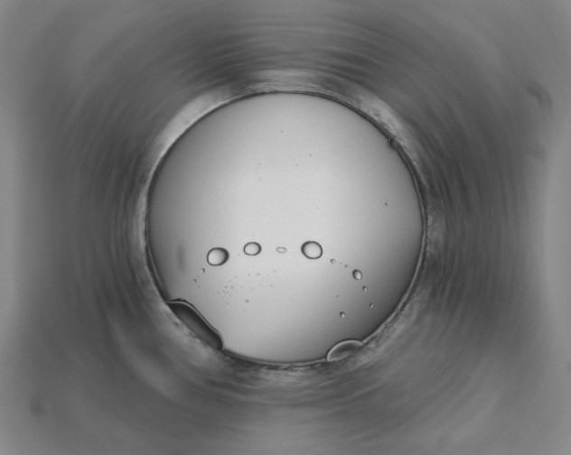 X0000115241386200911131655