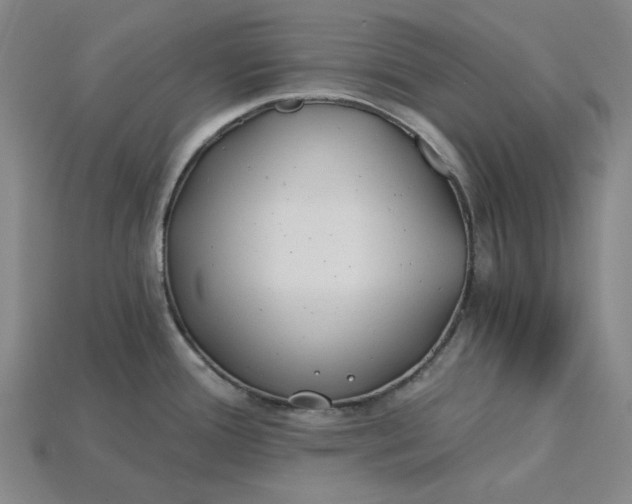 X0000115241388200911131655