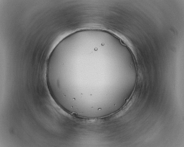 X0000115241390200911131655