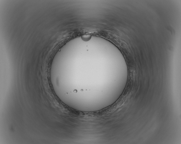 X0000115241393200911131654