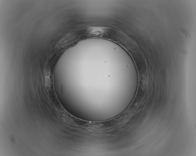X0000115241394200911131654