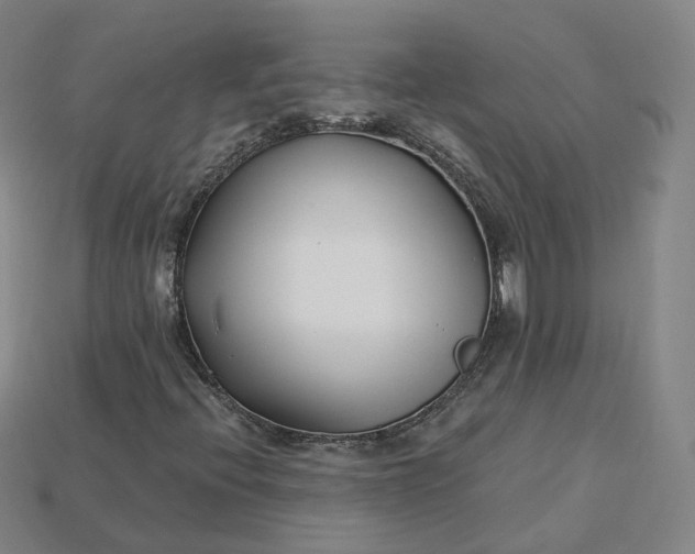 X0000115241396200911131654