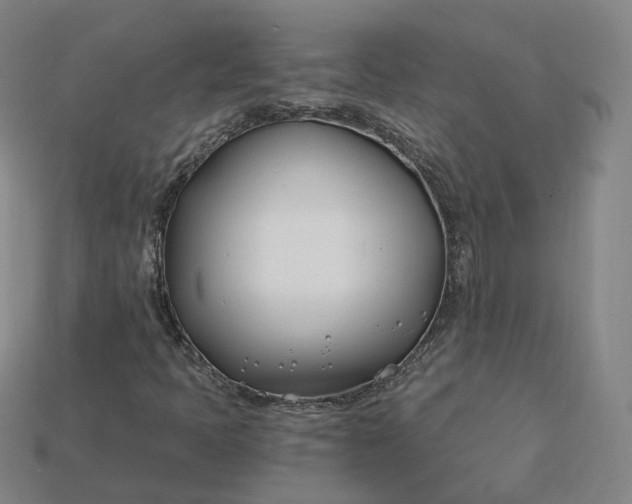 X0000115241397200911131654