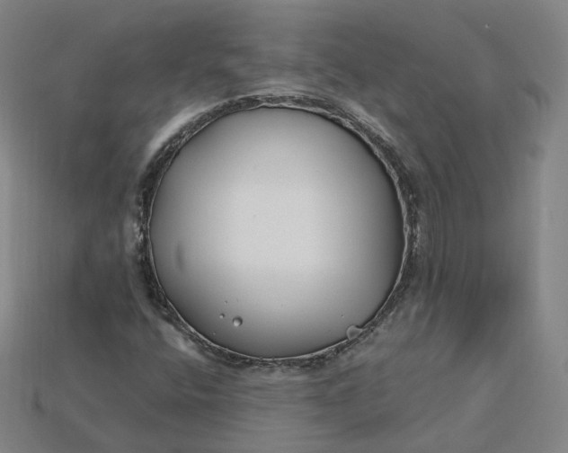 X0000115241400200911131654