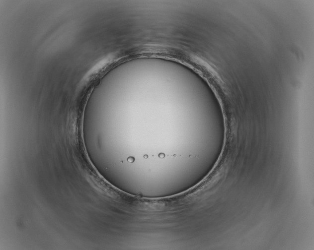 X0000115241403200911131654