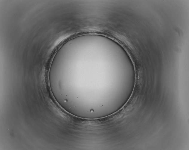 X0000115241404200911131654