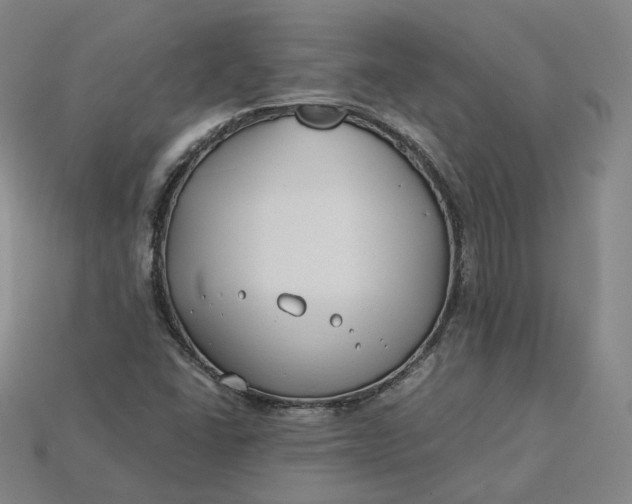 X0000115241406200911131654